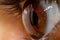 Macro of a beautiful mesmerizing brown human eye iris