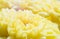 Macro of beautiful yello flowers for love season or Valentine`s Day background selective focus