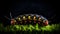 Macro Beauty: Caterpillar Portrait on Branch Against Dark Background