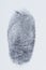 Macro of black fingerprint
