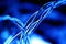 Macro blue electric wires