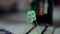 Macro bulb light glows with green on device with battery