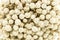 Macro of Bunch of dried white Eriocaulon henryanum Ruhle