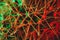 Macro cactus needles in green red light