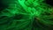 Macro cannabis plant bush, smoke cloud.Organic grow herbal indica marijuana,neon