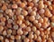 Macro cereals - lentils healthy food