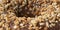 Macro of chocolate donut. Texture donut with pieces of nuts closeup. Banner sweet food