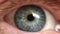 Macro close up of blinking grey male human eye retina
