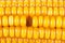 Macro close up of corn texture missing single kernel