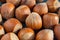 Macro close-up of a group of hazelnuts illuminated