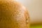 Macro close up hairy healthy juicy kiwi fruit