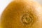 Macro close up hairy healthy kiwi fruit