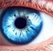 macro close up of human iris, eye color blue