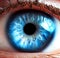 macro close up of human iris, eye color blue