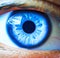 macro close up of human iris, eye color blue
