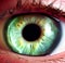 macro close up of human iris, eye color green