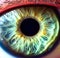 macro close up of human iris, eye color green
