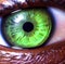 macro close up of human iris, eye color green