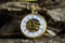 Macro close up of isolated golden antique pocket watch with filigree movement clockwork on natural bark of tree trunk