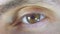 Macro close-up male human eye blinking