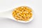 Macro Close-up of Organic Bengal Gram Cicer arietinum or split yellow chana dal on a white ceramic soup spoon.