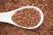 Macro Close up of  Organic Brown flaxseeds Linum usitatissimum or linseed on a white ceramic soup spoon.