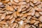 Macro close-up Organic Linseed or Flaxseed Linum usitatissimum