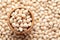 Macro Close up of Organic soybean, Glycine max  or soya bean dal in an earthen clay pot kulhar on the self background.