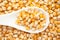 Macro Close up organic yellow corn seed or maize Zea mays on a white ceramic soup spoon.