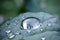 Macro close up of pure rain drop on green leaf with venation