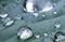 Macro close up of pure rain drop on green leaf with venation