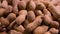 Macro / close up of raw unshelled peanuts