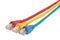 Macro close-up RJ45 network plugs red blue and yellow