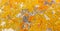 Macro close-up texture of yellow and orange lichen