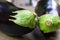 Macro close up of two isolated aubergines on wood table focus on plant stem left