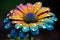 Macro close up of a vibrant blooming flower with a single raindrop, offering free copy space