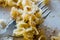 Macro Close Up View of Pasta Shell Conchiglie / Conchiglioni on Fork with Parmesan Cheese and Walnut