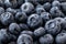 Macro close up view of a pile of frozen blueberries.