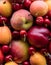 A macro close up view of a pile of stone fruit.