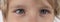 Macro close up young child blonde boys grey eye, blonde eyebrows and brown lashes. Caucasian light skin. Eye health care