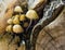 Macro closeup of clustered woodlover mushrooms, Autumn season nature background