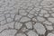Macro closeup on concrete asphalt cracks on the road