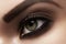 Macro closeup of female eye with fashion makeup, strong eyebrows