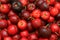 Macro, closeup of fresh organic Acerola group. juicy and selected fruits