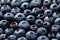 Macro Closeup of Fresh Tasty Blueberry Berry. Summer Food. Food