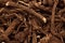 Macro closeup of Organic Calamus (Acorus calamus) root.