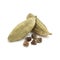 Macro closeup of Organic Green cardamom with seeds.