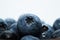 Macro closeup photo of blueberries laying on top of each other in a plate washed with fresh water and with reflection of ambient