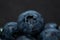 Macro closeup photo of blueberries laying on top of each other in a plate washed with fresh water and with reflection of ambient