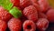 Macro closeup of rotating summer fruit raspberries.